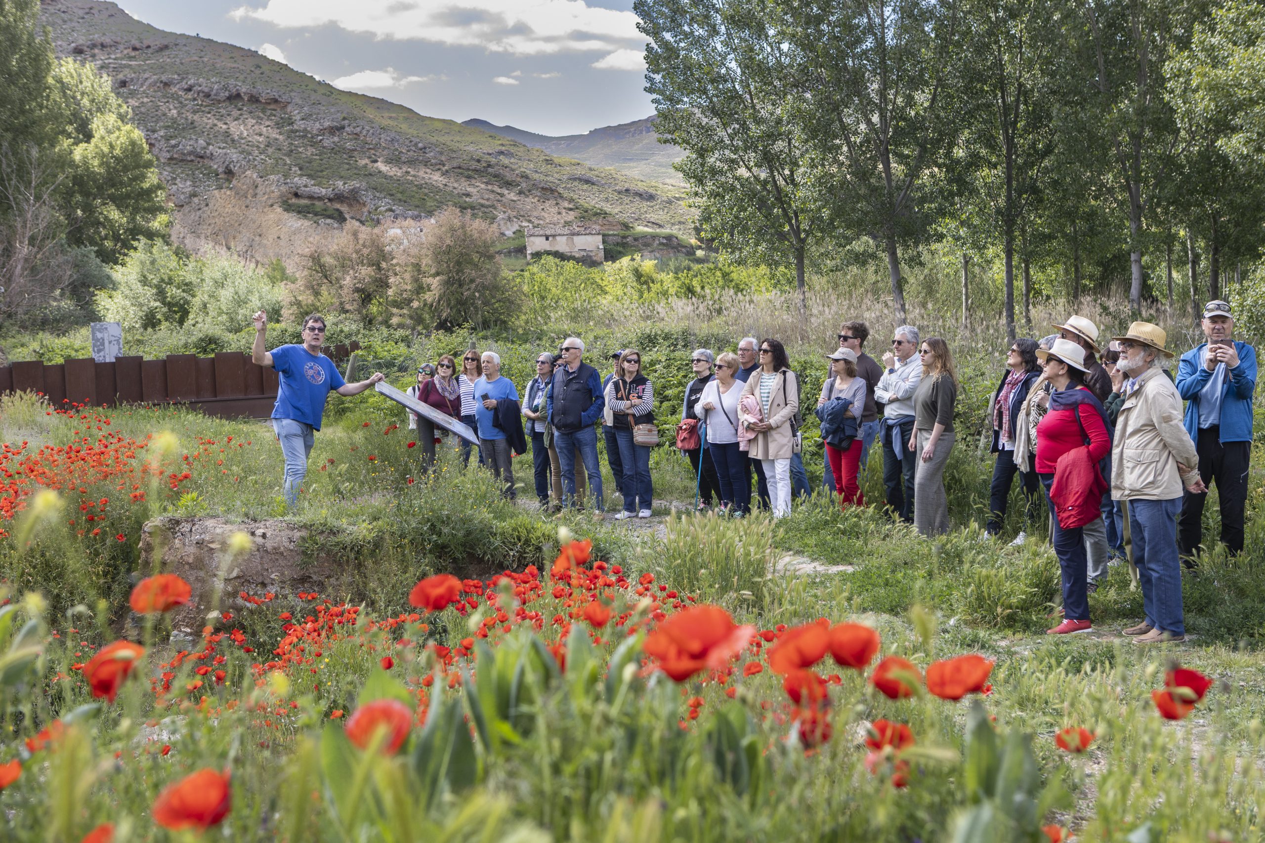 La Rioja Festival Selection-Cervera 7