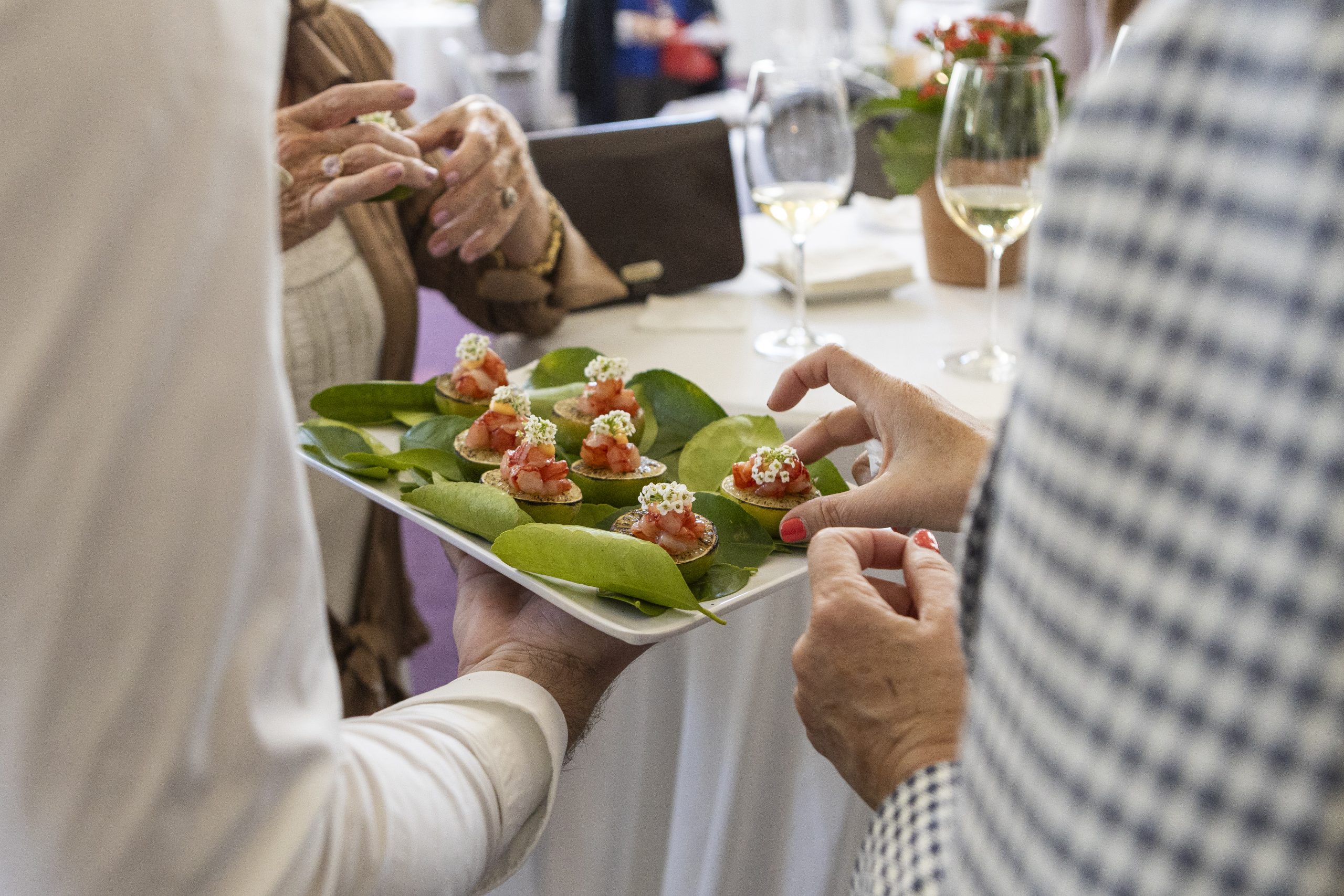 La Rioja Festival Selection-Círculo Logroñés 33