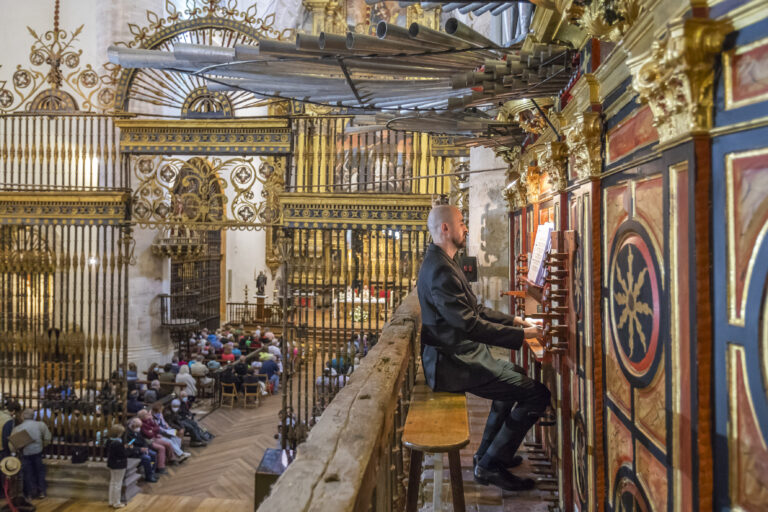 La Rioja Music and Wine Festival 13