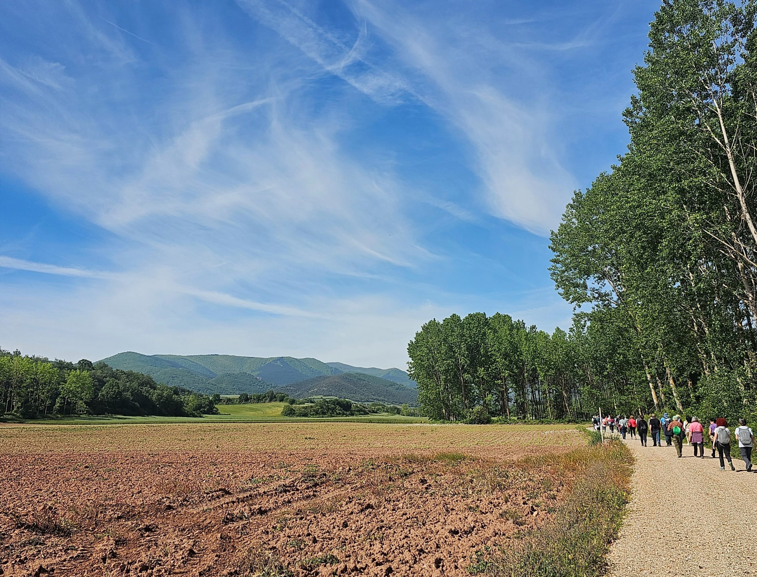 camino real camino-de santiago la rioja musical getaways in Spain
