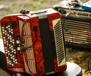 vallenato colombia accordion music UNESCO