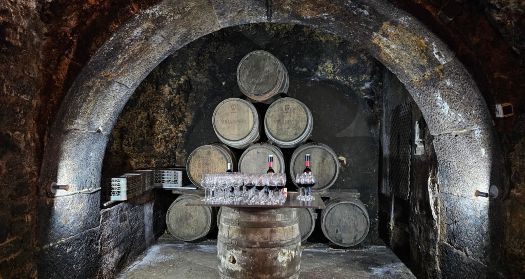 Spanish vineyards, Andalucía wine, Galicia wine, wine cellard, Spanish wine