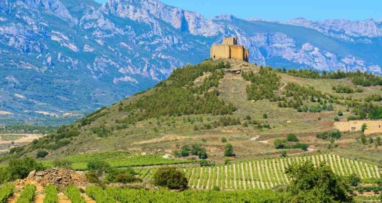 spain la rioja landscape nature mountain grapes