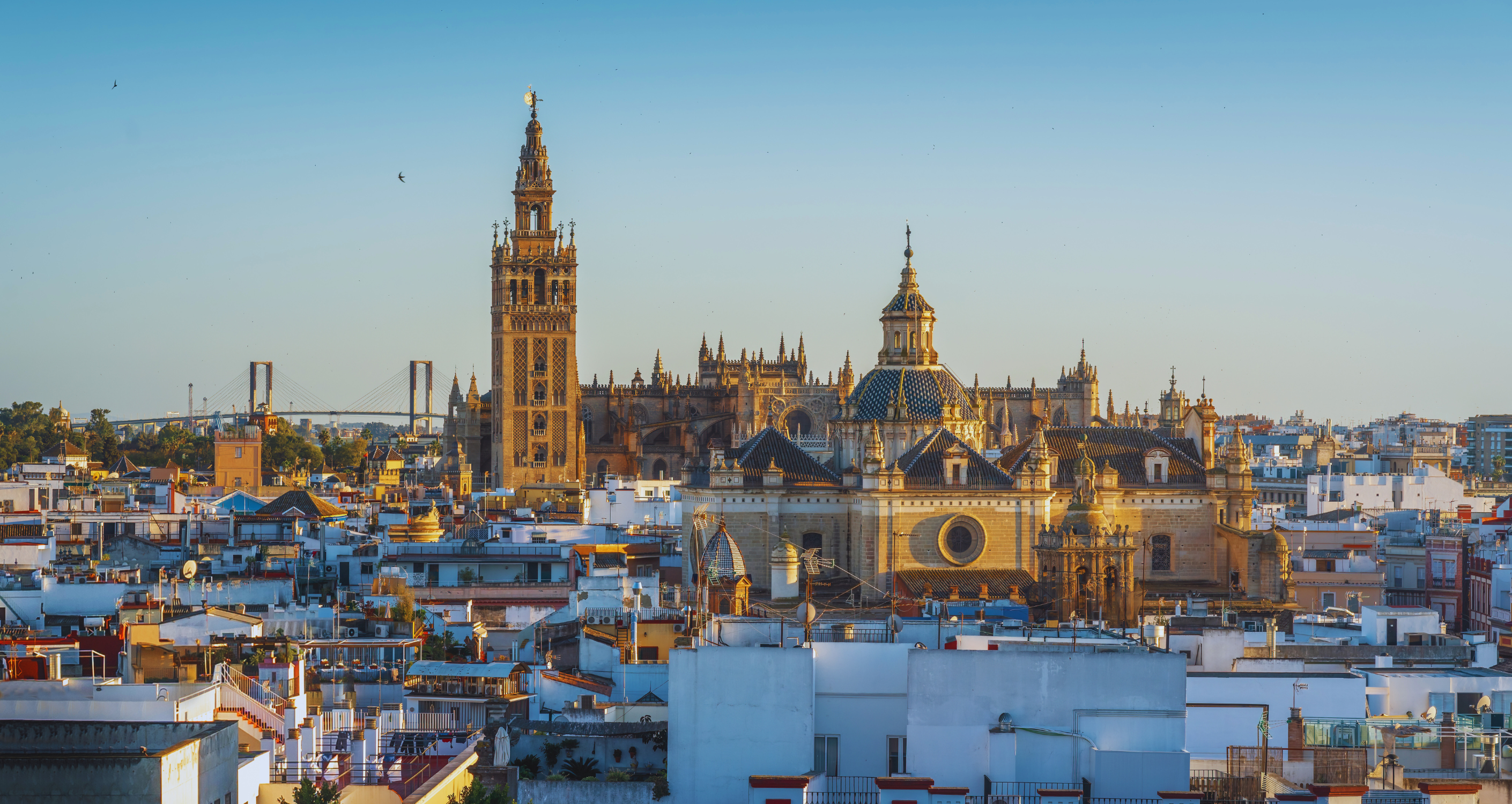 La Rioja Music and Wine Festival 2