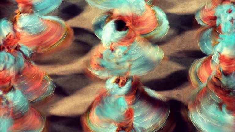 rio carnival photos brazil music tours 2