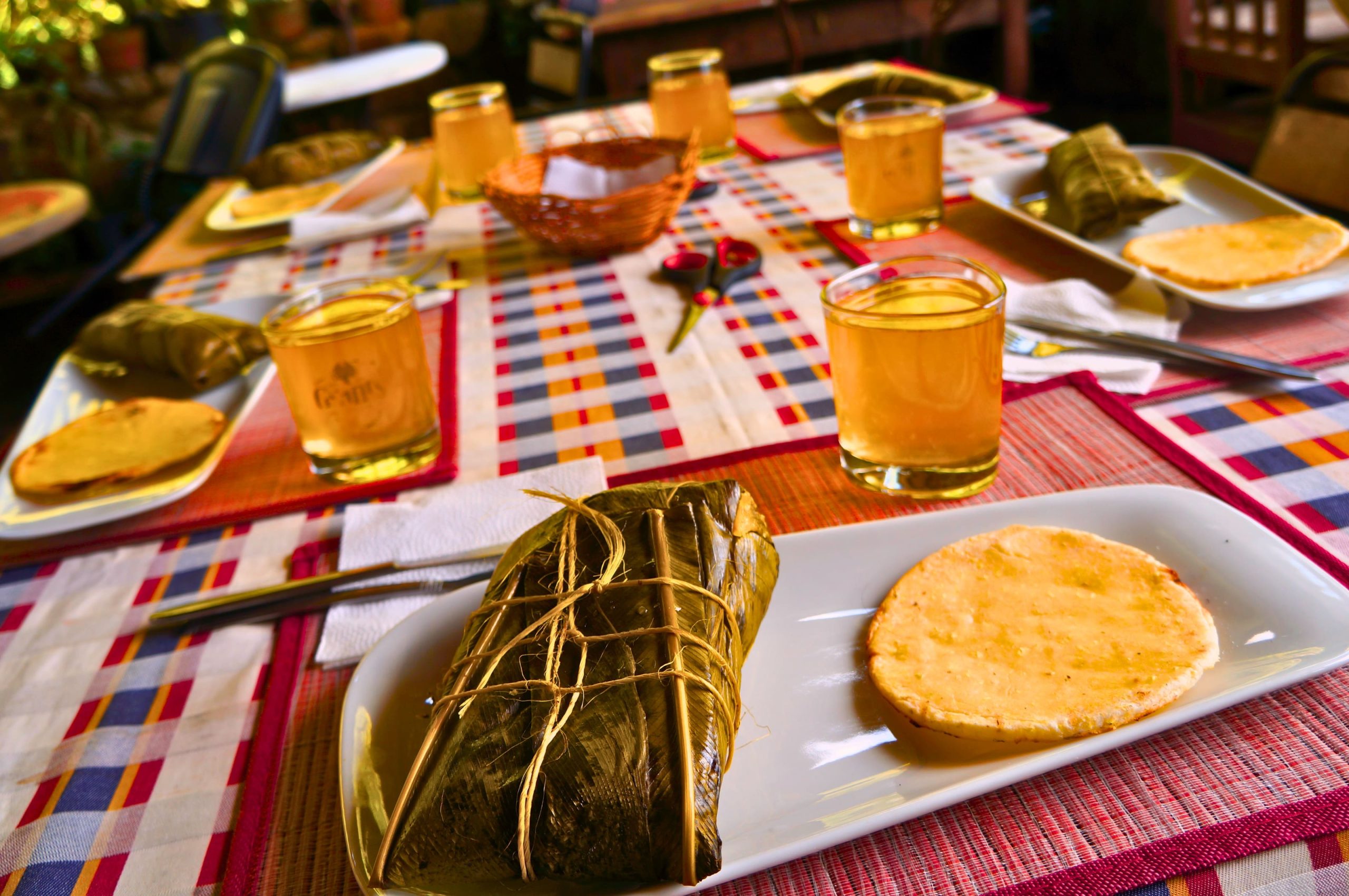 Caldas-antioquia-coffee-farm-Colombia ToursDSC04033 - Edited