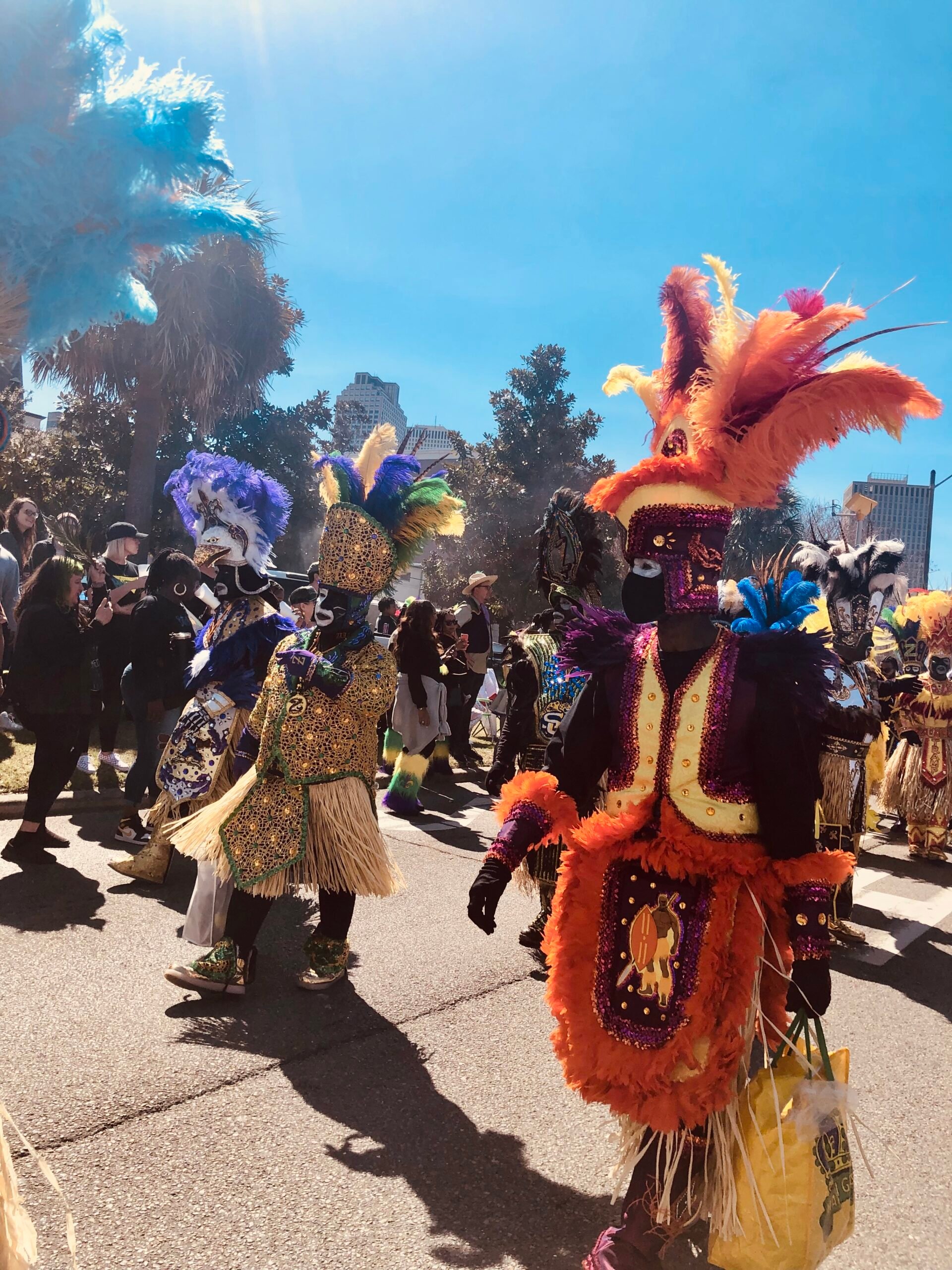 Mardi Gras Parade - New OrleansIMG_4832