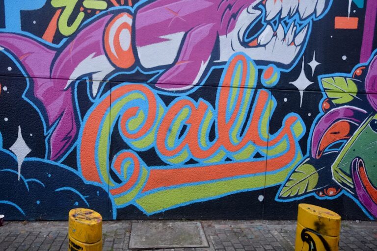 City Tour Cali Colombia - Graffiti street art