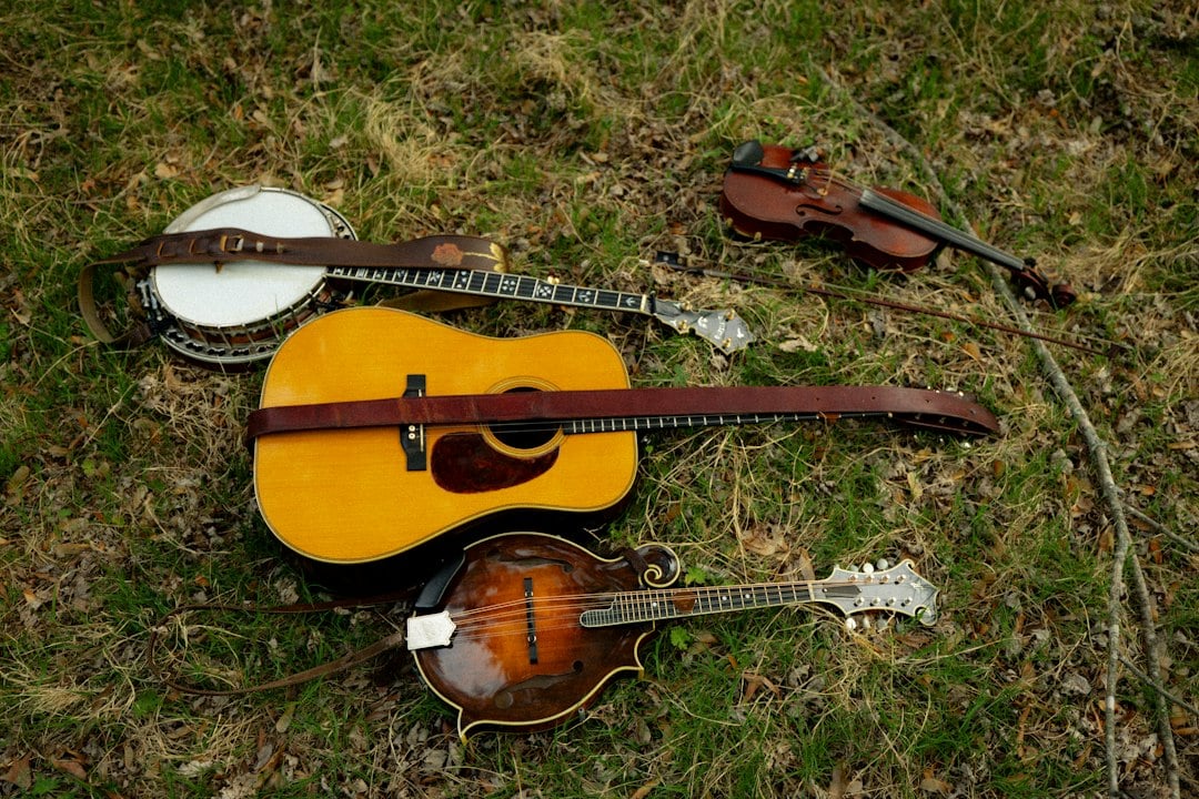 An acoustic guitar, banjo, mandolin and fiddle placed together on grass